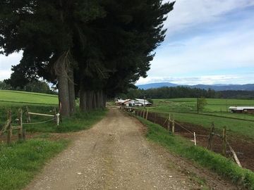 Agrícola en Venta en Panguipulli, Los rios