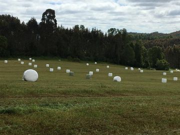 Agrícola en Venta en Panguipulli, Los rios