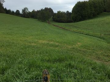 Agrícola en Venta en Panguipulli, Los rios