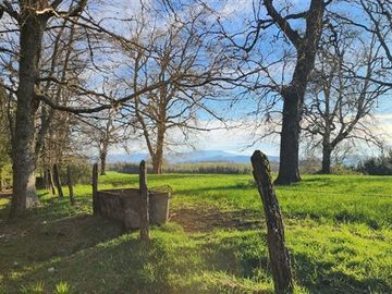 Agrícola en Venta en Panguipulli, Los rios