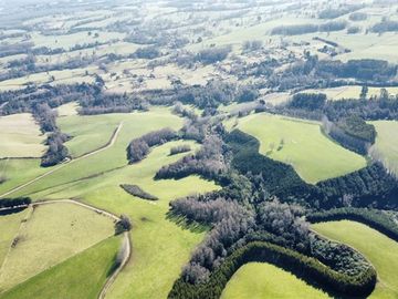 Agrícola en Venta en Panguipulli, Los rios