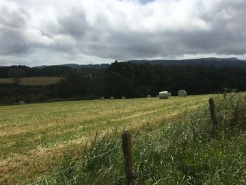 Agrícola en Venta en Panguipulli, Los rios
