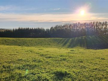 Agrícola en Venta en Panguipulli, Los rios