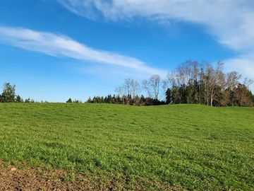 Agrícola en Venta en Panguipulli, Los rios