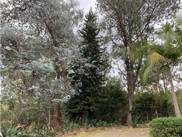 Venta de Hermosa Casa Finca Independiente en Rionegro