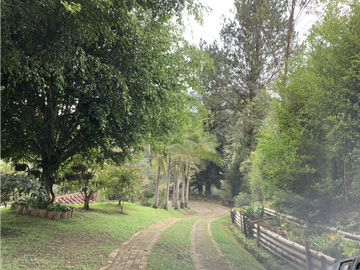 Venta de Hermosa Casa Finca Independiente en Rionegro