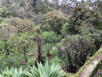Venta de Hermosa Casa Finca Independiente en Rionegro
