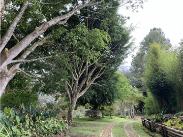 Venta de Hermosa Casa Finca Independiente en Rionegro