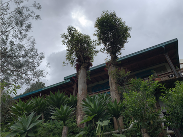 Venta de Hermosa Casa Finca Independiente en Rionegro