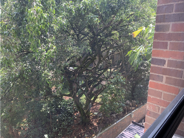 Venta Apartamento en El Poblado, Sector el Campestre