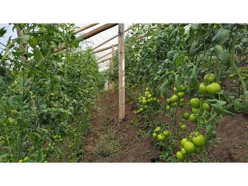 Venta de Finca en Guarne, Caballos y Agro, Cerca Aeropuerto