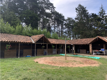 Venta de Finca en Guarne, Caballos y Agro, Cerca Aeropuerto