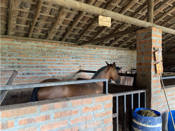 Venta de Finca en Guarne, Caballos y Agro, Cerca Aeropuerto