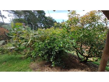Venta de Finca en Guarne, Caballos y Agro, Cerca Aeropuerto