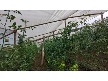 Venta de Finca en Guarne, Caballos y Agro, Cerca Aeropuerto
