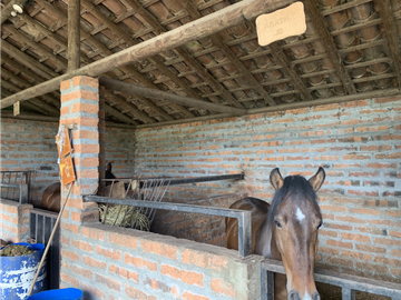 Venta de Finca en Guarne, Caballos y Agro, Cerca Aeropuerto