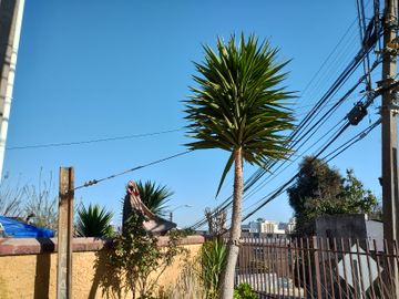 CRISOL LINDA PROPIEDAD, VISTA AL MAR, LAGUNA SAUSALITO