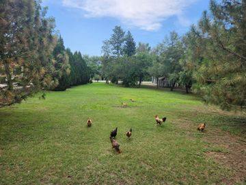 QUINTA EN VENTA EN COL. ATONGO DE ARRIBA EN CADEREYTA JIMENEZ  N.L.