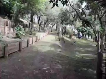 Edificio de venta en Cumbaya sector La primavera 2