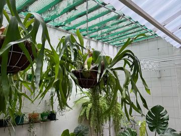 VENDO CASA EN LA CUMBRE