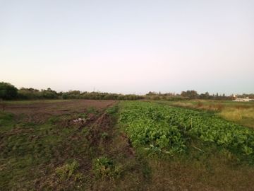 VENTA TERRENO PÉREZ ZONA SUBURBANA 23.000 M2
