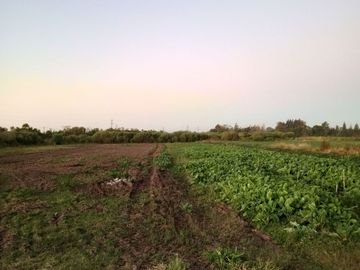 VENTA TERRENO PÉREZ ZONA SUBURBANA 23.000 M2