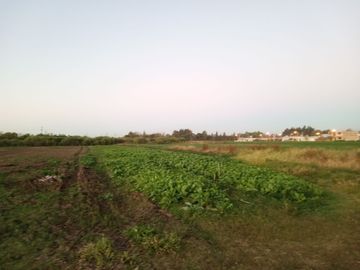 VENTA TERRENO PÉREZ ZONA SUBURBANA 23.000 M2