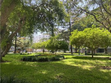 Bello Dpto 4 Dormitorios, Frente a parque Dammert