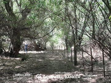 Campo 3.5ha en  El Hoyo, Chubut