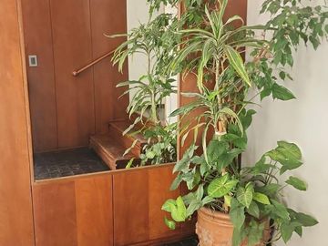Departamento en venta - 2 Dormitorios 1 Baño - 70Mts2 - Caballito