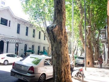 Venta Departamento de 2 Ambientes en  Palermo Hollywood