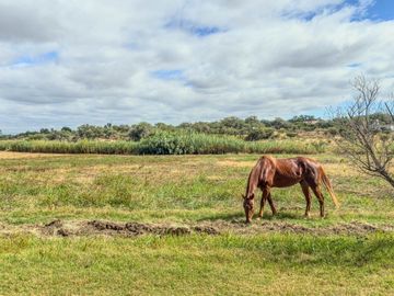 Rancho Villa Bravo, lote de 120,000 m²: Camino a Dolores Hidalgo