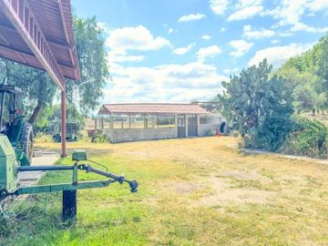 Rancho Villa Bravo, lote de 120,000 m²: Camino a Dolores Hidalgo