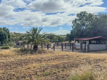 Rancho Villa Bravo, lote de 120,000 m²: Camino a Dolores Hidalgo
