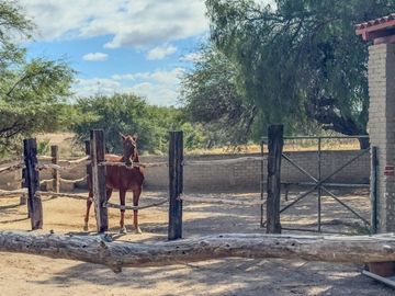 Rancho Villa Bravo, lote de 120,000 m²: Camino a Dolores Hidalgo