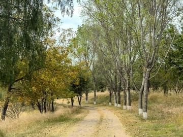 Rancho Villa Bravo, lote de 120,000 m²: Camino a Dolores Hidalgo