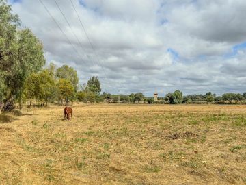 Rancho Villa Bravo, lote de 120,000 m²: Camino a Dolores Hidalgo
