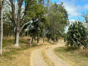 Rancho Villa Bravo, lote de 120,000 m²: Camino a Dolores Hidalgo