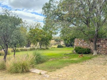 Rancho Villa Bravo, lote de 120,000 m²: Camino a Dolores Hidalgo