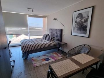 Valparaíso. Cerro Baron. Vende Dpto Estilo Loft. Inversion