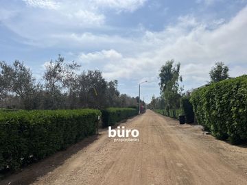 PRECIOSO TERRENO DE CAMPO EN VENTA, CONDOMINIO EL OLIVAR, PUCUSANA