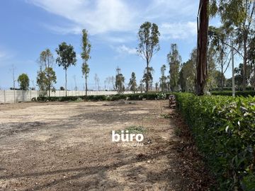 PRECIOSO TERRENO DE CAMPO EN VENTA, CONDOMINIO EL OLIVAR, PUCUSANA