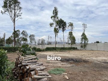 PRECIOSO TERRENO DE CAMPO EN VENTA, CONDOMINIO EL OLIVAR, PUCUSANA
