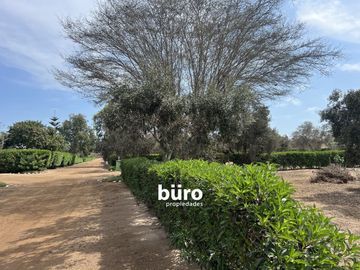 PRECIOSO TERRENO DE CAMPO EN VENTA, CONDOMINIO EL OLIVAR, PUCUSANA