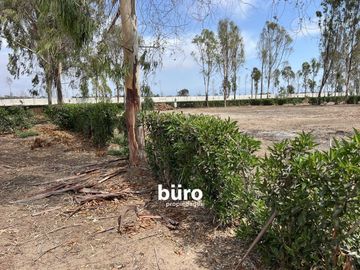 PRECIOSO TERRENO DE CAMPO EN VENTA, CONDOMINIO EL OLIVAR, PUCUSANA