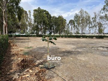 PRECIOSO TERRENO DE CAMPO EN VENTA, CONDOMINIO EL OLIVAR, PUCUSANA