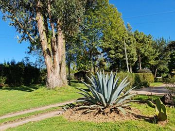 FINCA en VENTA en Chía Fagua