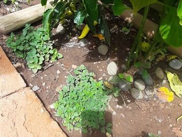 Casa en Venta en General Baquedano