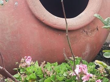 Casa en Venta en General Baquedano