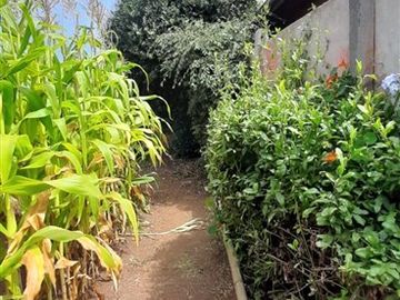 Local Comercial en Venta en General Baquedano